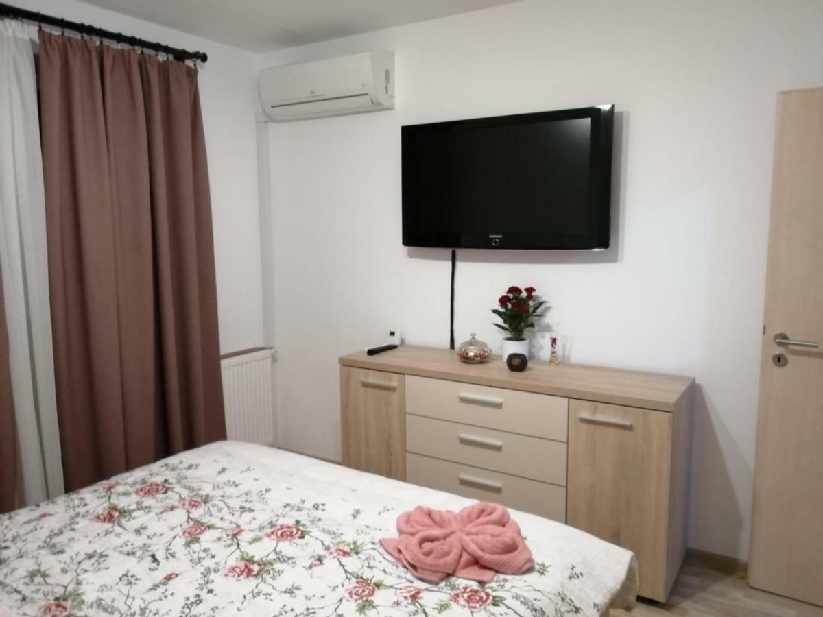 Luxury Mountain View 公寓 Braşov