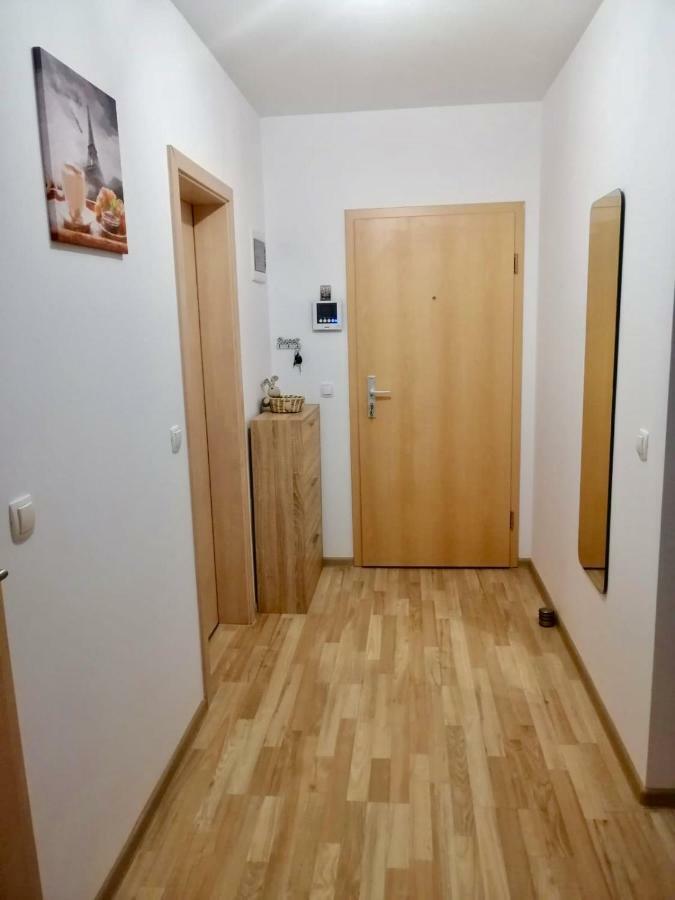 Apartment Luxury Mountain View Brașov